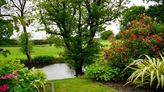 Heres Why Having a Garden Pond is Always a Fintastic Idea... 