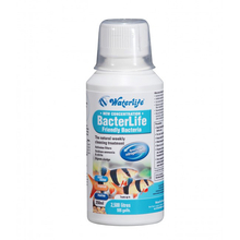 Why add good bacteria to your aquarium or pond filter?