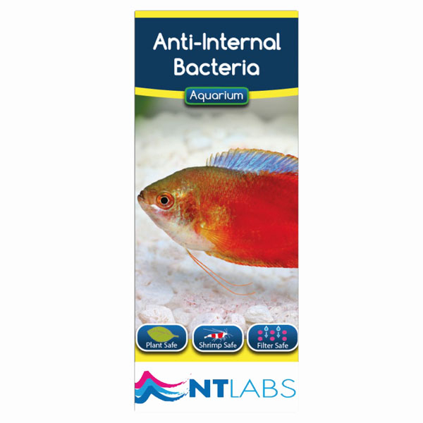 NT Labs Anti Internal Bacteria 1